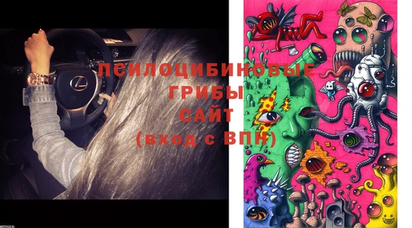 экстази Михайлов