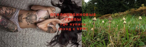 ешки Михайловка