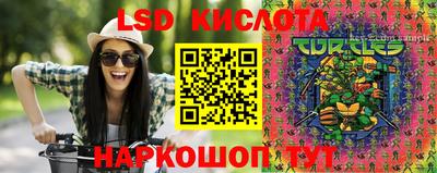 стаф Кандалакша