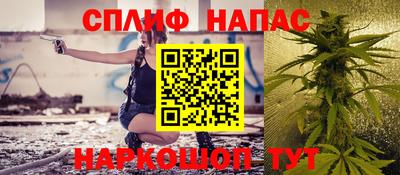 стаф Кандалакша