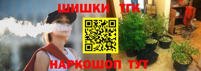 стаф Кандалакша