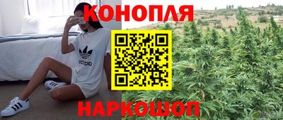 spice Камышлов