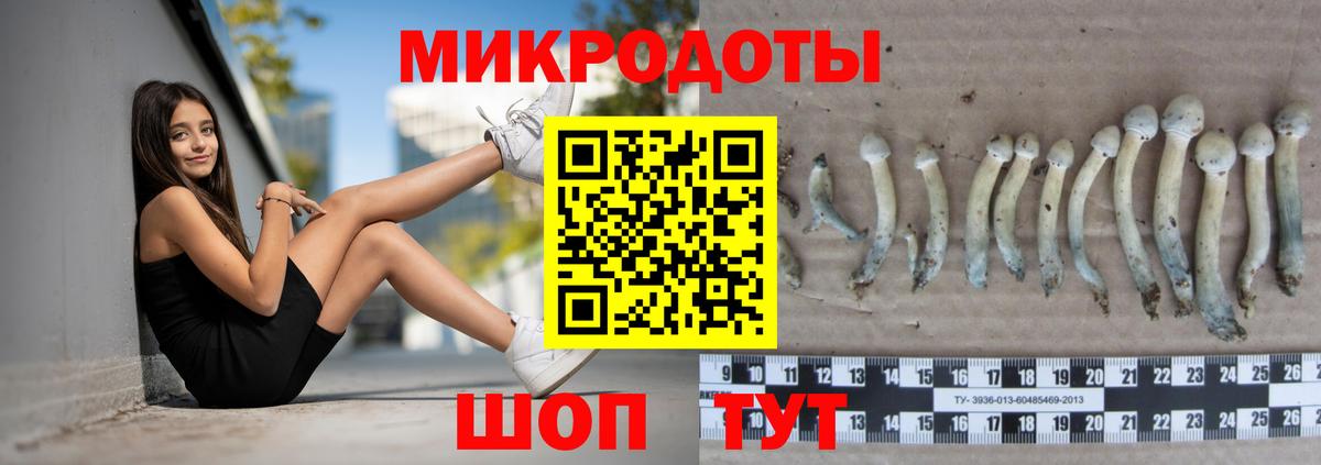 Галлюциногенные грибы Psilocybine cubensis  Галлюциногенные грибы мицелий  Лабытнанги  Вход с VPN 